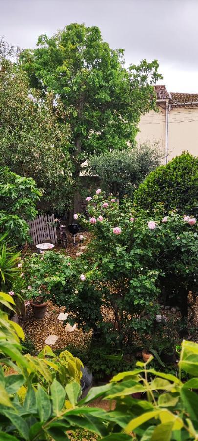 Villa Fontilha Usclas-l'Herault Esterno foto