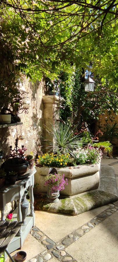 Villa Fontilha Usclas-l'Herault Esterno foto