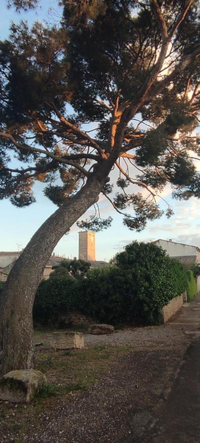 Villa Fontilha Usclas-l'Herault Esterno foto
